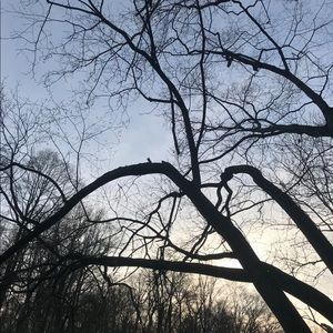 Meet your Posher, Claudia